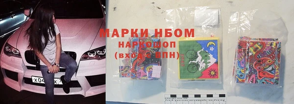 прущие грибы Балабаново