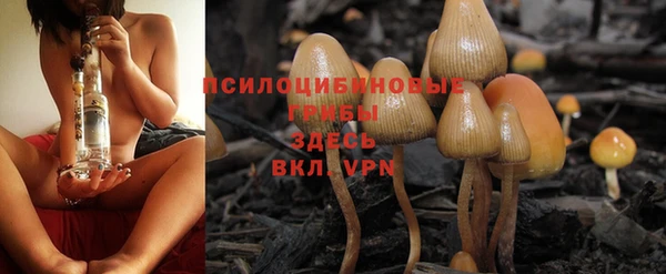 ешки Баксан