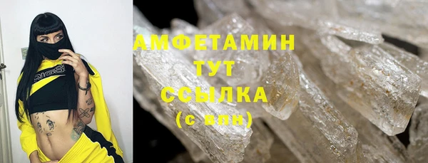 прущие грибы Балабаново