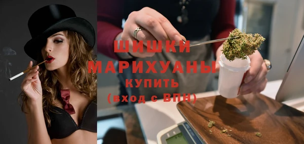 прущие грибы Балабаново