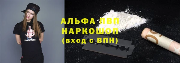 прущие грибы Балабаново